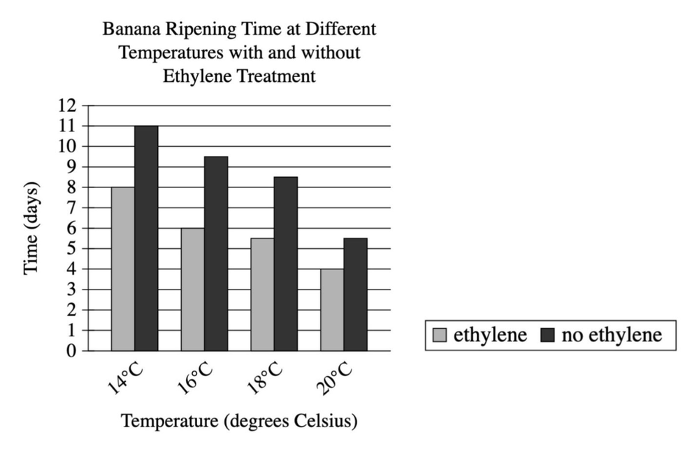 Grouped vertical bar chart titled 'Banana Ripening Time at Different Temperatures with and without Ethylene Treatment.' Y-axis: Time (days), 0 to 12 by 1. X-axis: Temperature (degrees Celsius), categories 14C, 16C, 18C, 20C. Two series: ethylene (light gray) and no ethylene (black). At 14C ethylene is about 8 and no ethylene about 11; at 16C about 6 and 9.5; at 18C about 5.5 and 8.5; at 20C about 4 and 5.5. No-ethylene bars are taller than ethylene bars at every temperature, and both series decrease as temperature rises; the ethylene vs no-ethylene gap is widest at 14-18C (about 3 days) and narrowest at 20C (about 1.5 days).