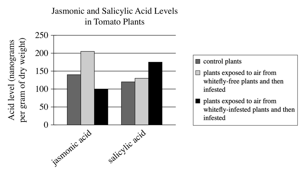 Grouped vertical bar chart titled 'Jasmonic and Salicylic Acid Levels in Tomato Plants.' Y-axis: Acid level (nanograms per gram of dry weight), 0 to 250 by 50. X-axis categories: jasmonic acid, salicylic acid. Three series: control plants; plants exposed to air from whitefly-free plants and then infested; plants exposed to air from whitefly-infested plants and then infested. For jasmonic acid: control about 140, whitefly-free-air-then-infested about 205, whitefly-infested-air-then-infested about 100. For salicylic acid: control about 120, whitefly-free-air-then-infested about 130, whitefly-infested-air-then-infested about 175.