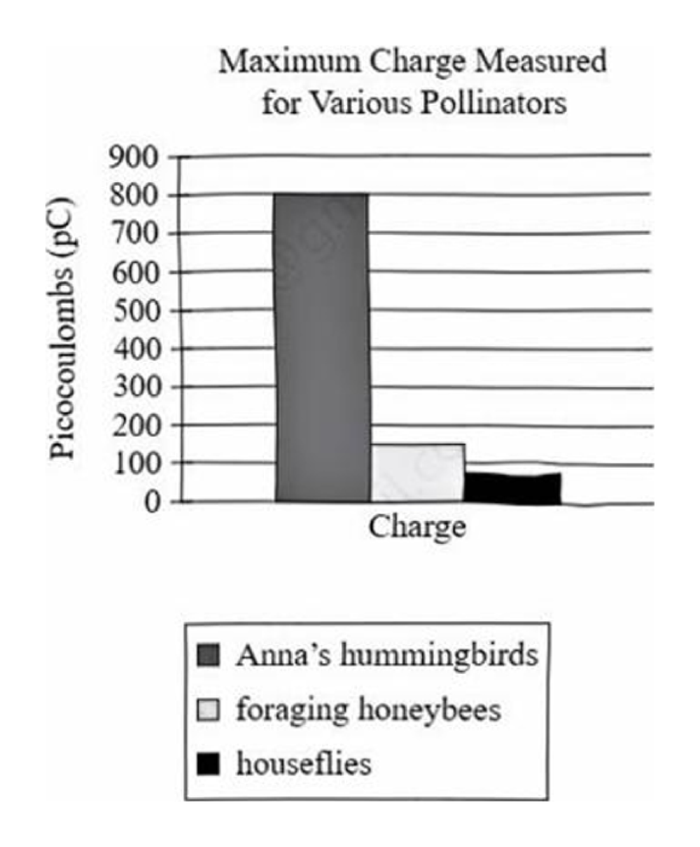 Bar graph titled Maximum Charge Measured for Various Pollinators. Y-axis: Picocoulombs (pC), 0–900. Three bars: Anna's hummingbirds (dark) approximately 800 pC; foraging honeybees (light) approximately 100 pC; houseflies (dark) approximately 75 pC.