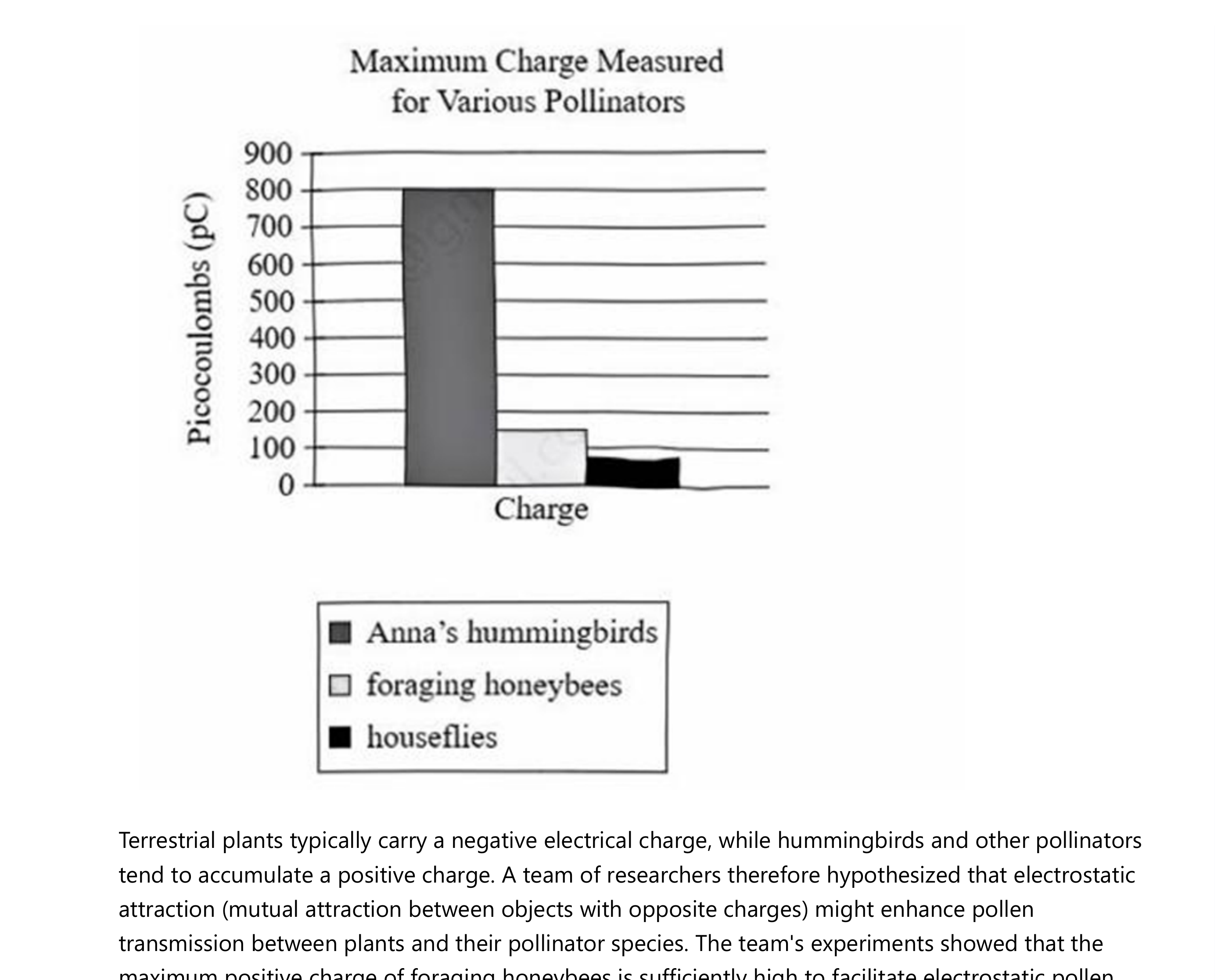 Bar graph titled Maximum Charge Measured for Various Pollinators. Y-axis: Picocoulombs (pC), 0–900. Three bars: Anna's hummingbirds (dark) approximately 800 pC; foraging honeybees (light) approximately 100 pC; houseflies (dark) approximately 75 pC.